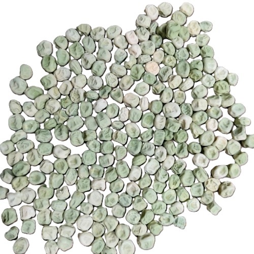 Hybrid Pea Seeds