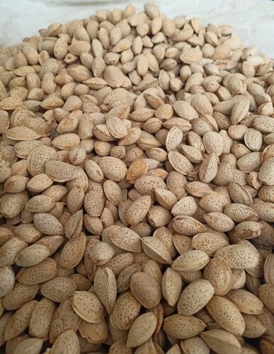 Kashmir Shell Almond