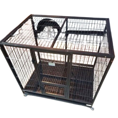 Hens Cage