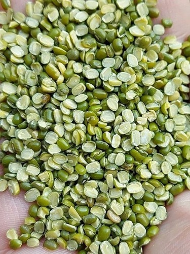 Split Moong Dal By Gavyadhar Organic Pvt. Ltd.