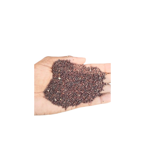 Black Mustard Seeds - Grade: All Grades Available