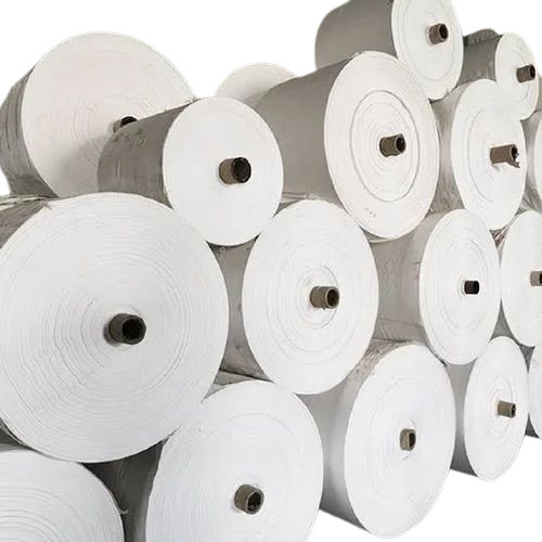 Plain Pp Woven Fabric Roll