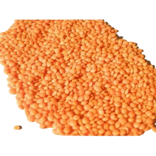 Masoor Dal - Pulse Style: Fresh