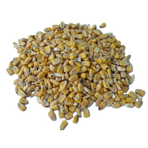 Maize Malt