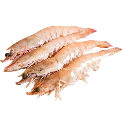 Fresh Prawns