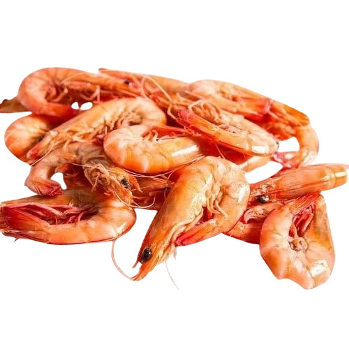 Fresh Prawns Fish