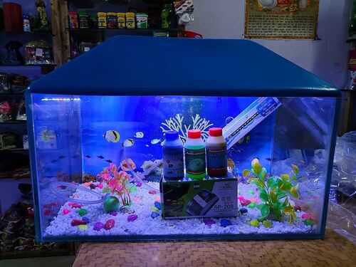 24 Ltr Blue Glass Aquarium