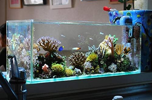 Stylist Glass Aquarium