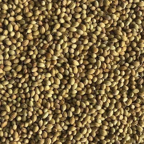 Whole Coriander Dhania - Color: Brown