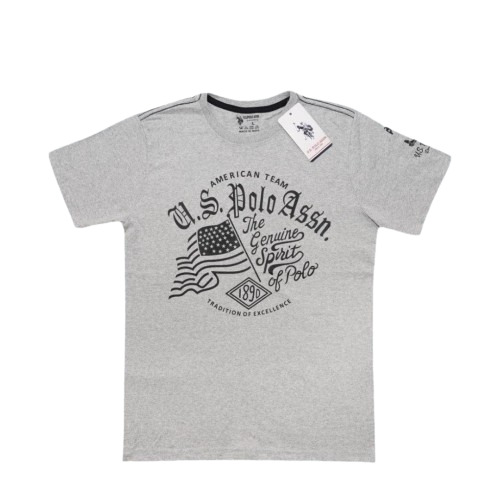 Ash Color Printed T Shirt