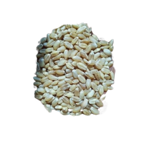 Organic Wheat