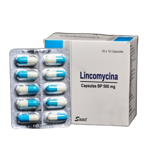 Lincomycin 500mg General Medicine Tablet