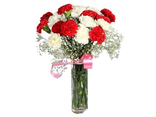 Carnations Medley Flower Bouquet