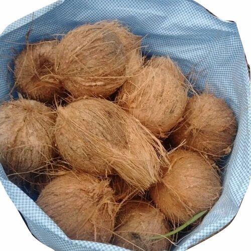 Semi Husked Coconut - Whole Round Shape, Standard Size, Brown Color | Fresh Quality, 100% Pure, Young Coconut, 50 Kilograms