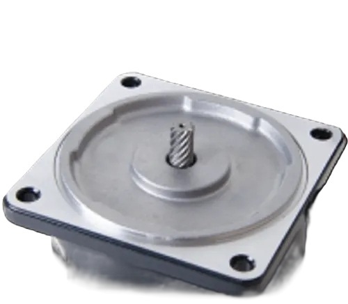 Straight Shaft Speed Control Motor - Color: Silver