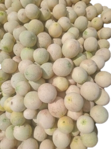 Farm Fresh Muskmelon By ARUN TRADERS