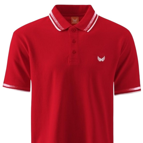 Polo T Shirt