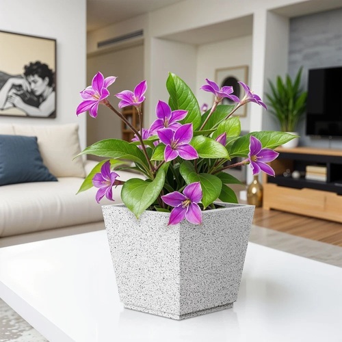 Stone Planter