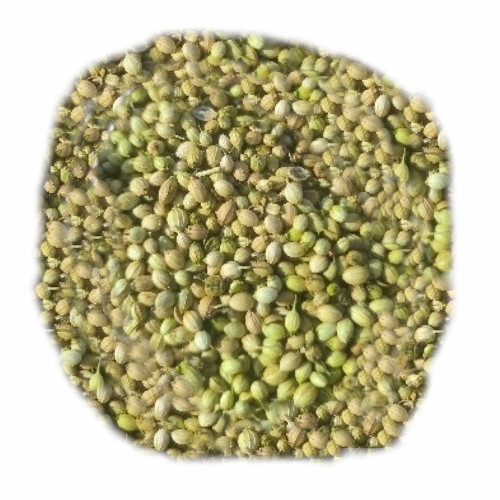 Coriander Seeds - Purity: Farmer Quality And Machine Cleaned