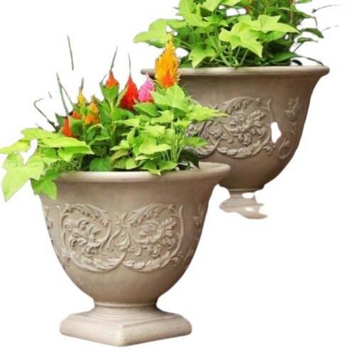 Show Pot