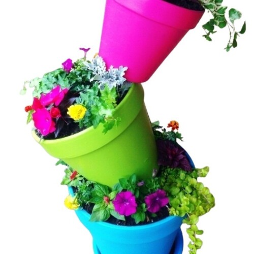 Colour Pot