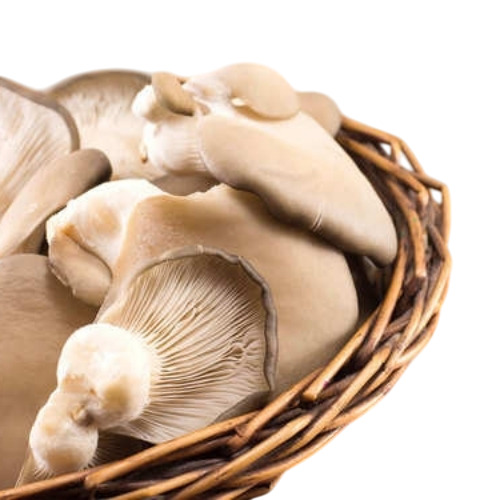 Shiitake Mushrooms