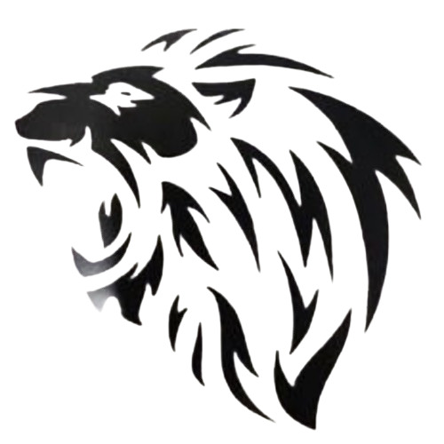 Vinyl Heat Transfer Stickers