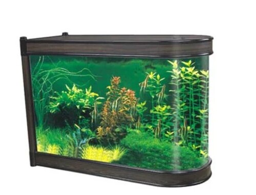 Fish Aquarium