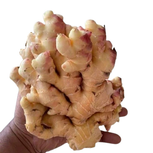 Fresh Ginger