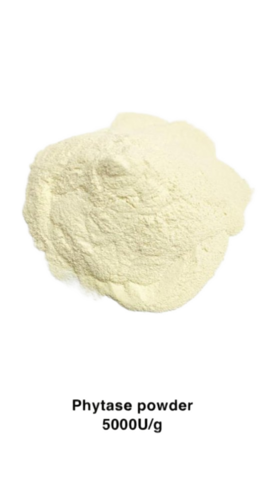 Animal Feed Phytase 5000 U/G Enzymes Powder