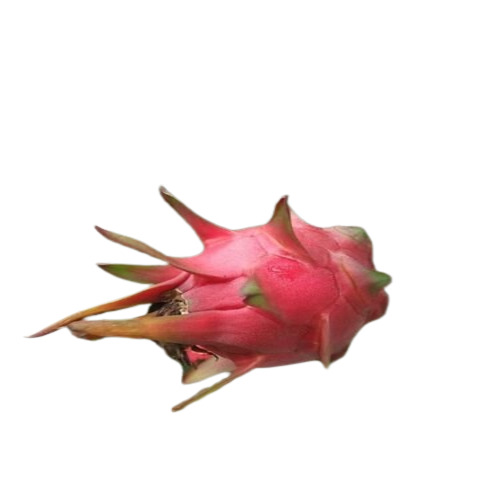 Fruit Plants - Breed: All