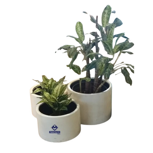 Fiberglass Planter - Application: Plantation
