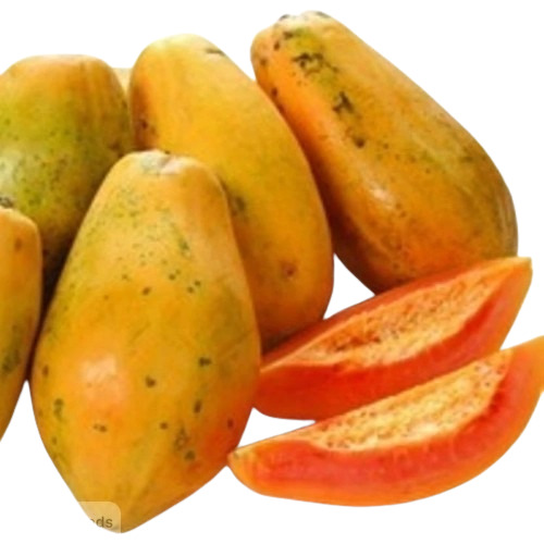 Fresh Papaya 