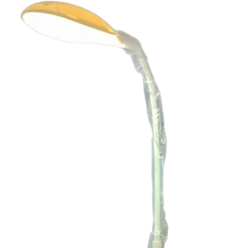 Study Table Lamp