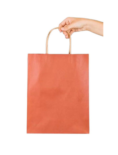Plain Paper Carry Bags
