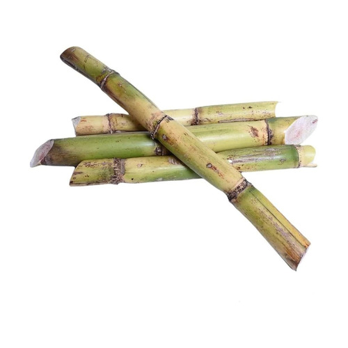 Round Sweet Sugarcane