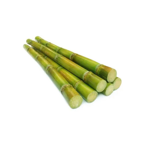 Sweet Sugarcane