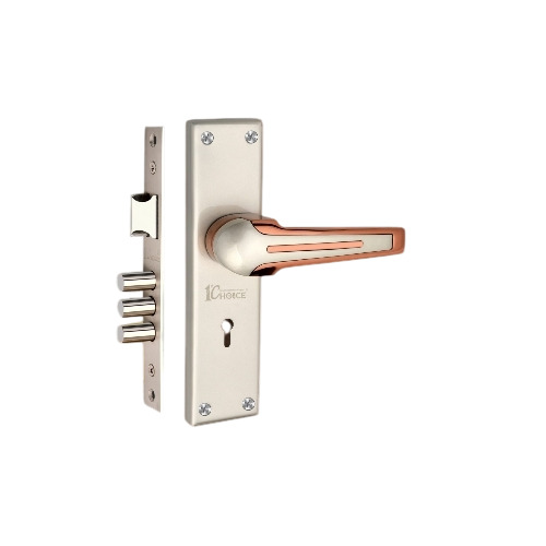 Mortise Handle - Application: Door Fittings