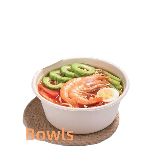 Bagasse Food Containers