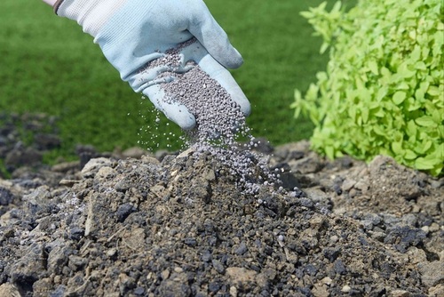 Agricultural Fertilizers
