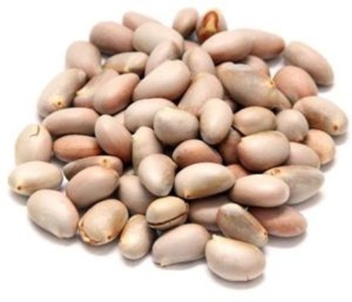 Jack Fruit Seeds