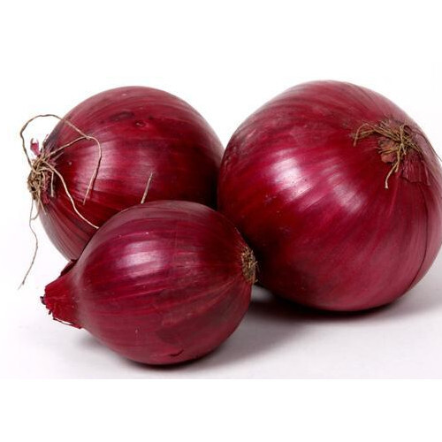 Fresh Red Onion