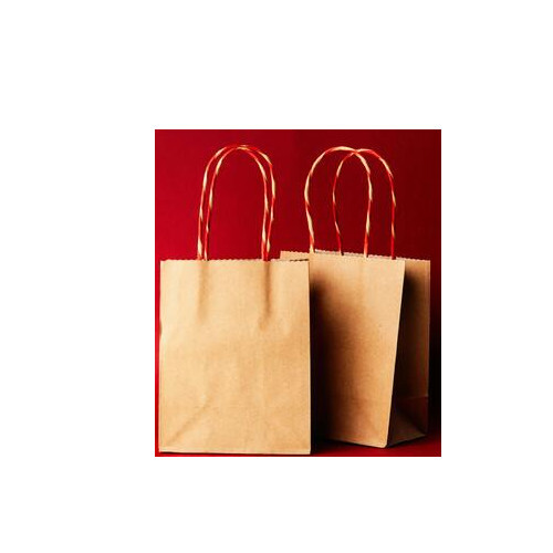Paper Carry Bag