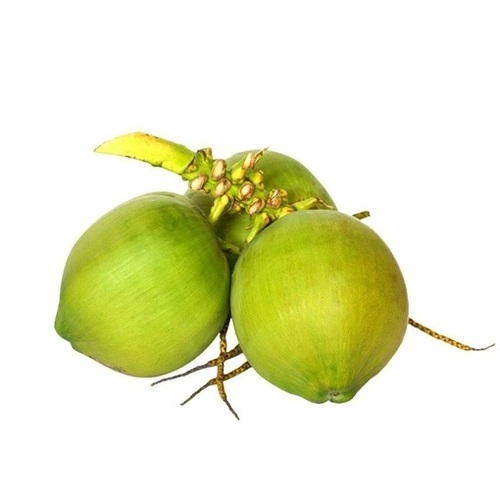 Green Coconut