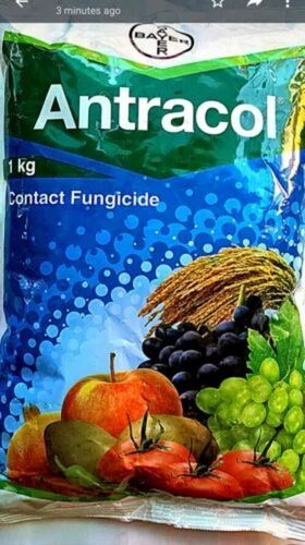 1kg Bayer Antracol Contact Fungicide