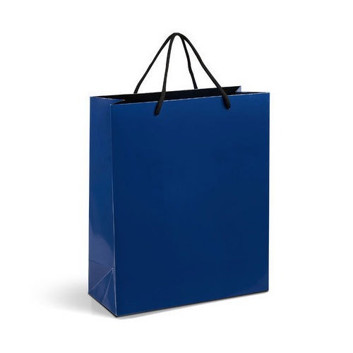 Blue Paper Carry Bags