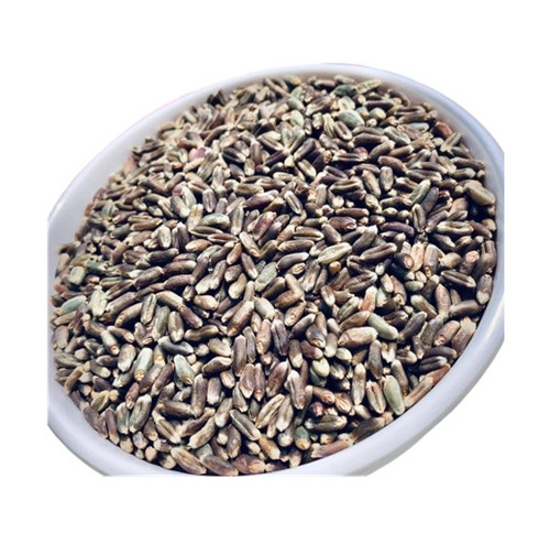 Black Wheat Grain