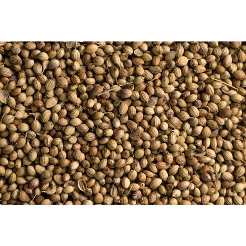 Coriander Seeds