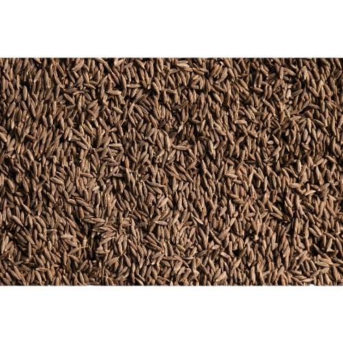 Cumin Seeds