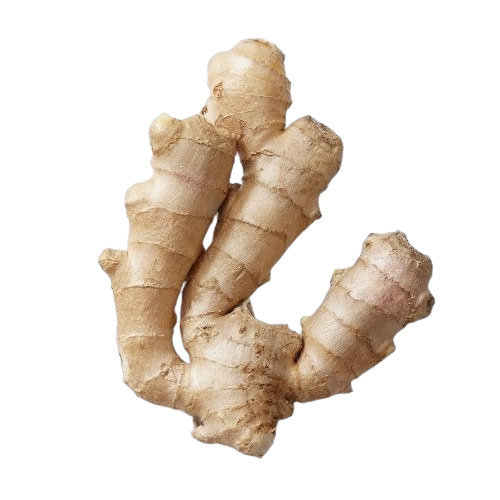 Fresh Ginger 